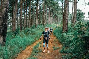 BIB: 
                            <button type="button" onclick="openModal(25741493)" class="btn btn-primary btn-sm float-right btn-popup" data-toggle="modal" data-target=".modal-high-quality">
                        <i class="fas fa-shopping-cart"></i> Add to Cart
                    </button>
                                            <button type="button" onclick="isThisMe(25741493, true)" class="btn btn-success btn-sm float-right btn-popup btn-isme hidden" data-toggle="tooltip" data-placement="bottom" title="นี่คือรูปของคุณใช่ไหม คลิกที่นี่เพื่อเอาเข้าอัลบั้ม">
                        <i class="fas fa-plus"></i> Add to album
                    </button>
                    <button type="button" onclick="isThisMe(25741493, false)" class="btn btn-warning btn-sm float-right btn-popup btn-isnotme hidden">
                        <i class="fas fa-ban"></i> Remove from album
                    </button>